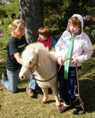 Illustration for article titled Ohio Town Removes Service Mini-Horse of Girl with Disabilities